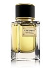 Dolce & Gabbana Velvet Patchouli