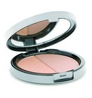 Daniel Sandler Cosmetics Mineral Finishing Powder 