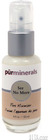 Pur Minerals See No More Pore Minimizer
