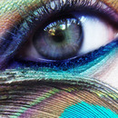 Peacock Inspiration