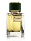 Dolce & Gabbana Velvet Vetiver