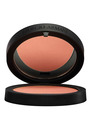 Giorgio Armani Sheer Blush