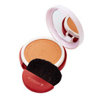 Skinfood Seaweed Shining Bronzer Pact
