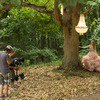 Behind the Scenes at Taylor's Wonderstruck commercial shoot!