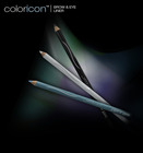 Wet N Wild Color Icon Brow & Eye Liner