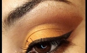 Orange and Brown Eyeshadow Look using BH Cosmetics
