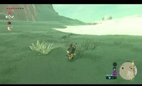 Girl plays Breath of the Wild BLIND STREAM PLAYTHROUGH. Part 26.1