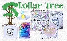 Dollar Tree Haul #22 | Part 2 Double Haul | PrettyThingsRock