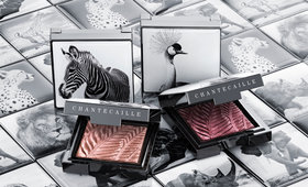 Behind the Brand: Sylvie Chantecaille of Luxury Botanical Beauty Brand, Chantecaille