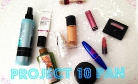 Project 10 Pan!!!