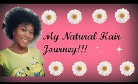 My Natural Hair Journey | Type Whatever Curls