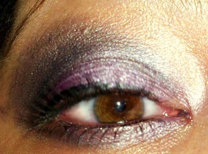 purple and gray