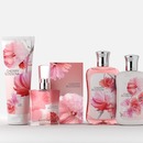 Bath & Body Works Cherry Blossom Collection