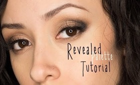 Coastal Scents Revealed Palette Tutorial. Naked 1 and 2 Dupes!