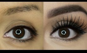 TIPS PARA QUE CREZCAN LAS PESTAÑAS Y LAS CEJAS RAPIDO - How to grow your brows & lashes