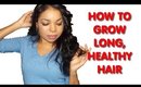 How To Grow Long, Healthy Hair - Ms Toi