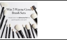 WAYNE GOSS BRUSH GIVE AWAY X BEAUTYLISH!!!!