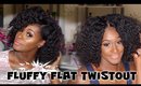 Fluffy Flat Twist Out | Natural Hairstyle | Shlinda1