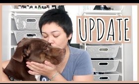 UPDATE - What Happened To Zoey + Warning For Other Pet Owners