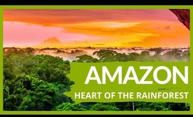 AMAZON RAINFOREST VIDEO CLIPS | [Amazon Travel 2020]