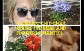 T J Maxx, chit chat, my flowers and where I've been!