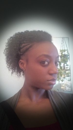 Flat twist and twist-out; using eco-style gel and Eden's Curl Defining Creme