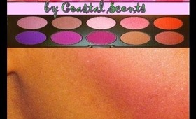 Coastal Scents Blush Too Palette: Show And Tell