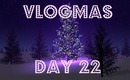 Vlogmas - Day 22 - The one with a LOT of swans!