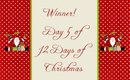 Winner - Day 5 of 12 Days of Christmas Giveaway