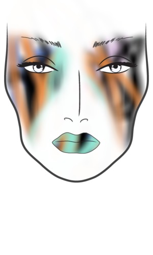 MAC face chart my 3 year old daughter Ava did ;)