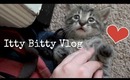 Kardashians, Kitties & Moving to L.A (Itty Bitty Vlog 09/10/13)