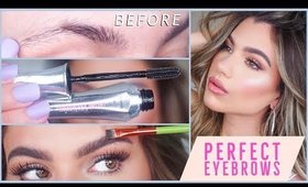 EYEBROW TUTORIAL | How to SHAPE & FILL IN Eyebrows for Beginners!