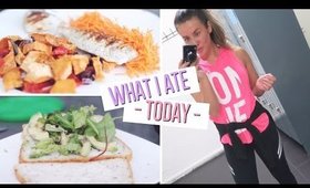 WHAT I ATE TODAY! | MANON TILSTRA