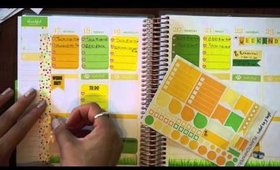 Plan With Me: Yellow and Green August