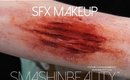 Claw Scratch Cut SFX Makeup Tutorial I Halloween Makeup 2015