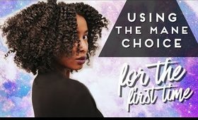Flat Twist Out Using The Mane Choice Ancient Egyptian 24 Karat Glistening Twisting Gel