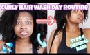 My Curly Hair Wash Day Routine 2020 (START TO FINISH)| 4c Natural Hair