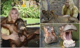Bali Vlog: Bali Safari & Marine Park