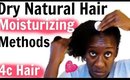 LOC Method+ Alternative Methods to Maintaining Moisture on 4c Natural Hair