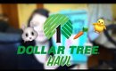 Dollar Tree Haul: Score On NEW Easter Decor & Potted Cacti  | February 25, 2018