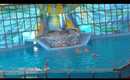 Sea World San Antonio-Belugas & Dolphins