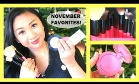 November Beauty Favorites 2013 + Brush Set Giveaway!