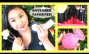 November Beauty Favorites 2013 + Brush Set Giveaway!