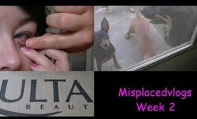 Misplacedvlog week 2