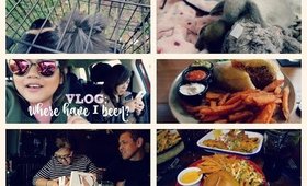 VLOG: Where have I been? Pet loss, new bunnies and food | vaniitydoll
