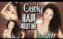 My 2018 Summer Curly Hair Routine + Tips To Beat Frizz!