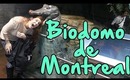 As Aventuras de uma Brasileira no Canadá: Biodomo de Montreal