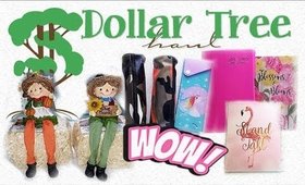 Dollar Tree Haul #26 | 10% Friends & Family | PrettyThingsRock