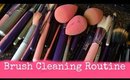 Brush Cleaning Routine