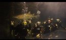 Shark Diving VLOG | Shark Dive Xtreme Sea Life Manly